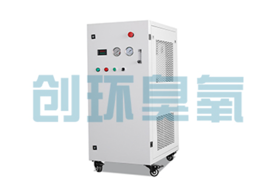 珠海石斑鱼养殖水质调控完整指南:臭氧发生器配置与操作步骤