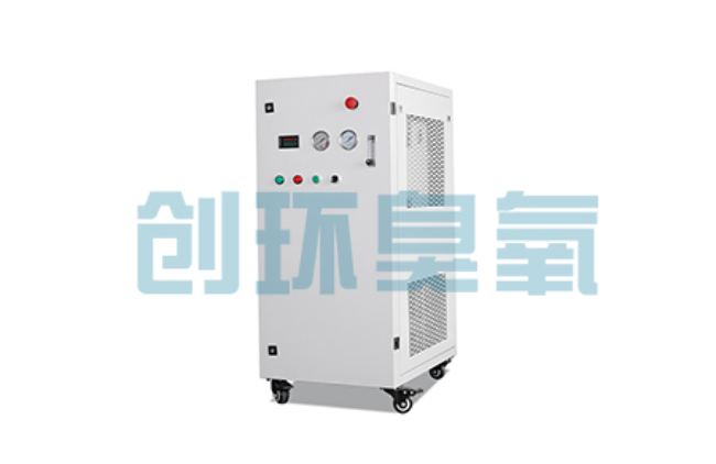 珠海比传统换水更高效?臭氧发生器在石斑鱼养殖中的水质净化原理解析